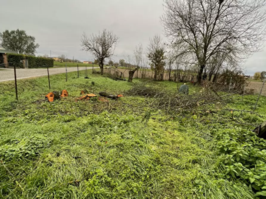 Immagine 25 di Rustico / casale in vendita  a Suzzara