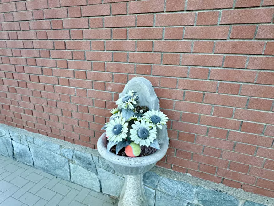 Immagine 30 di Casa indipendente in vendita  in Frazione Cantogno 44 a Villafranca Piemonte