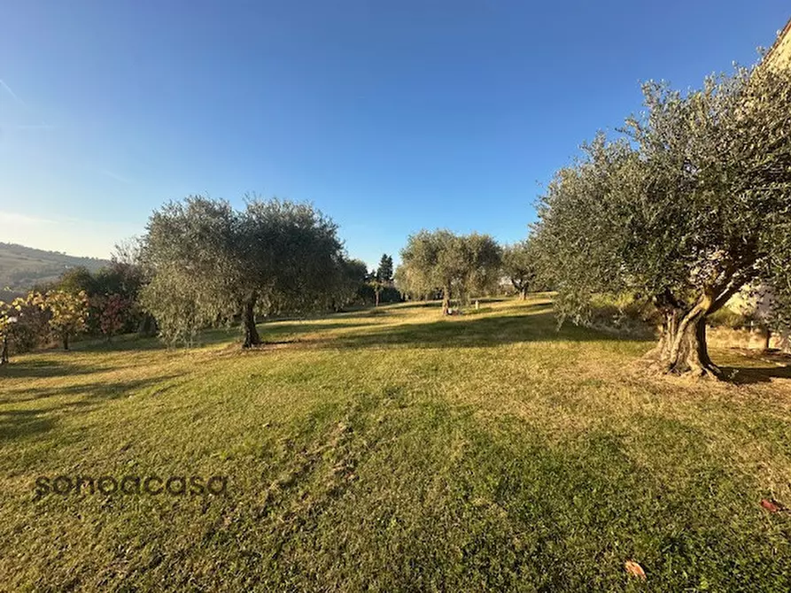 Immagine 4 di Casa indipendente in vendita  in Contrada La Costa 1 a Mondavio