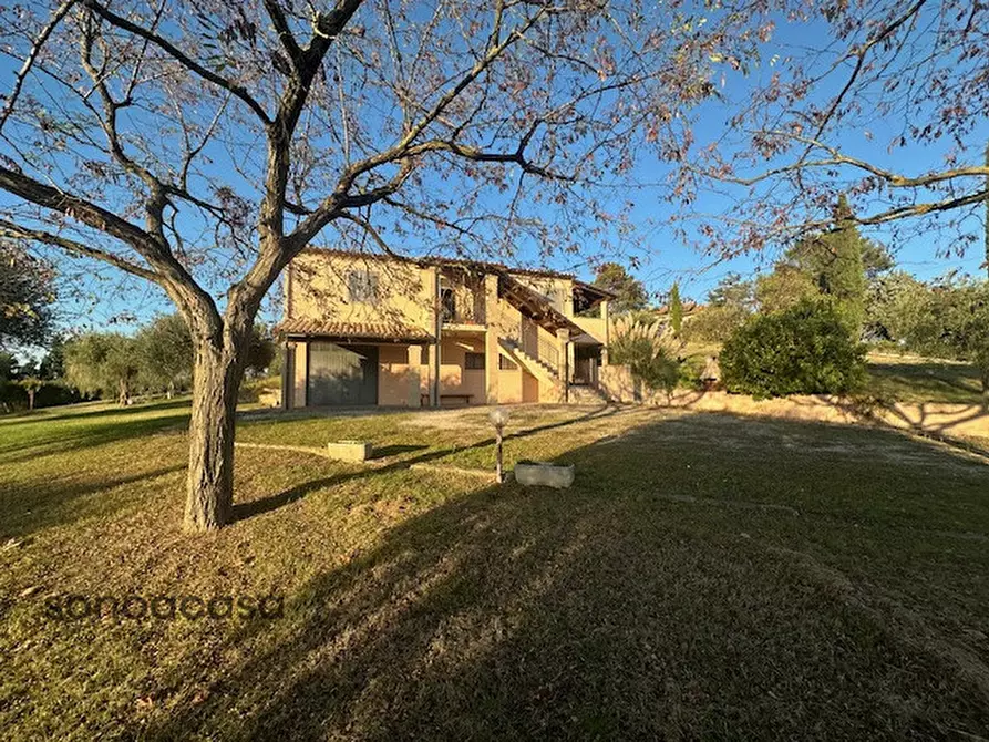 Immagine 26 di Casa indipendente in vendita  in Contrada La Costa 1 a Mondavio