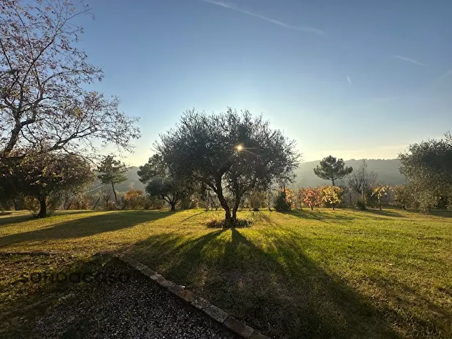 Immagine 31 di Casa indipendente in vendita  in Contrada La Costa 1 a Mondavio