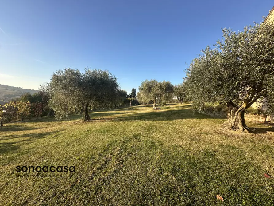 Immagine 28 di Casa indipendente in vendita  in Contrada La Costa 1 a Mondavio