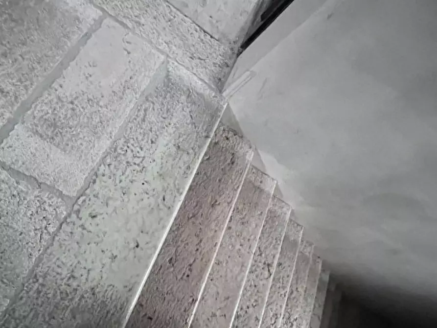 Immagine 7 di Villa in vendita  a Canaro