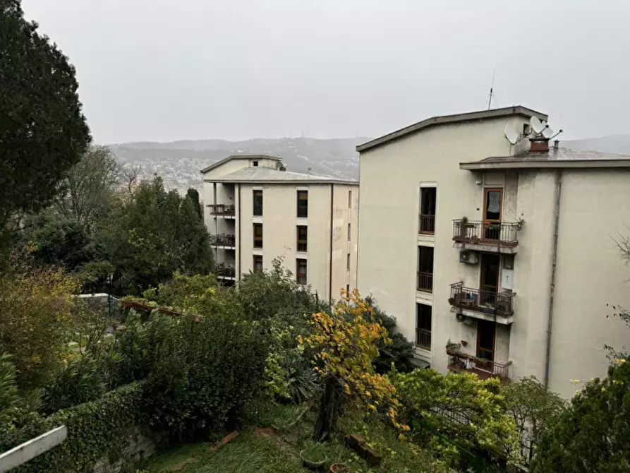 Immagine 14 di Appartamento in affitto  in capitolina 15 a Trieste