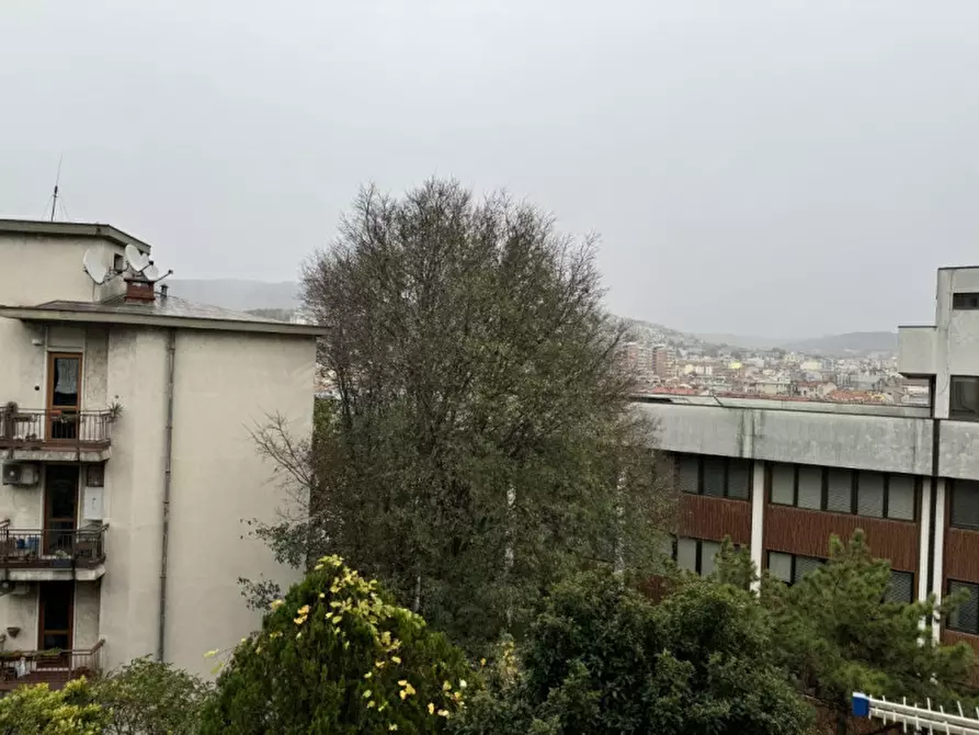 Immagine 15 di Appartamento in affitto  in capitolina 15 a Trieste