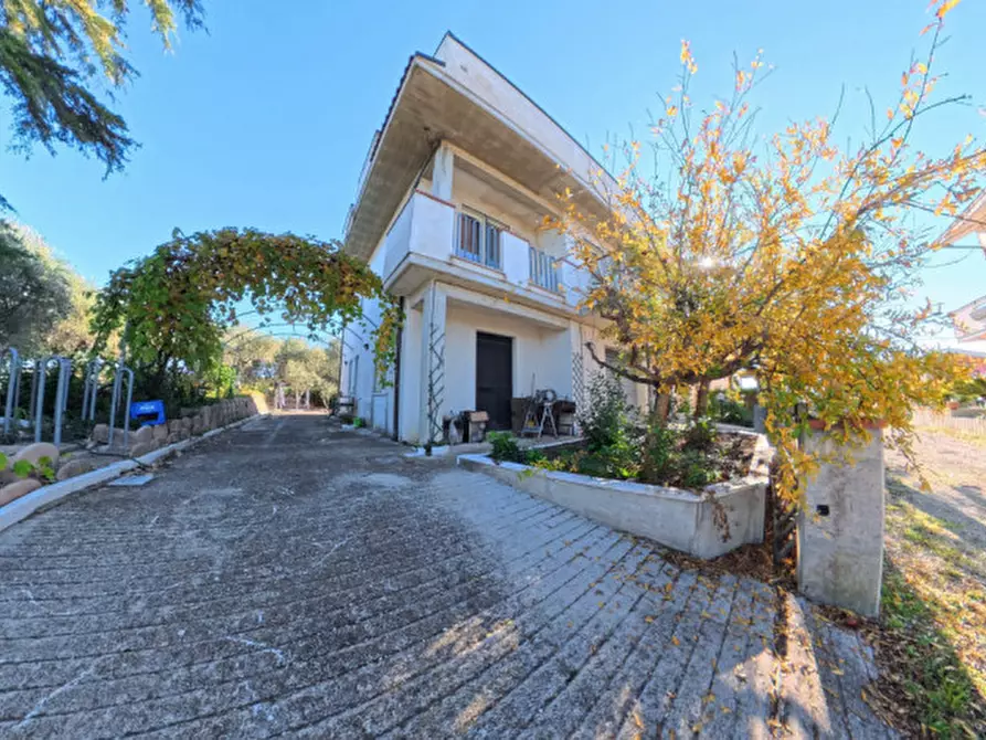 Immagine 2 di Villa in vendita  a Moscufo