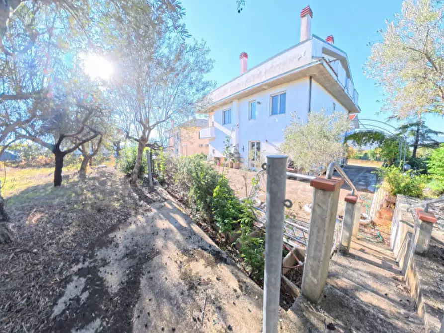 Immagine 4 di Villa in vendita  a Moscufo