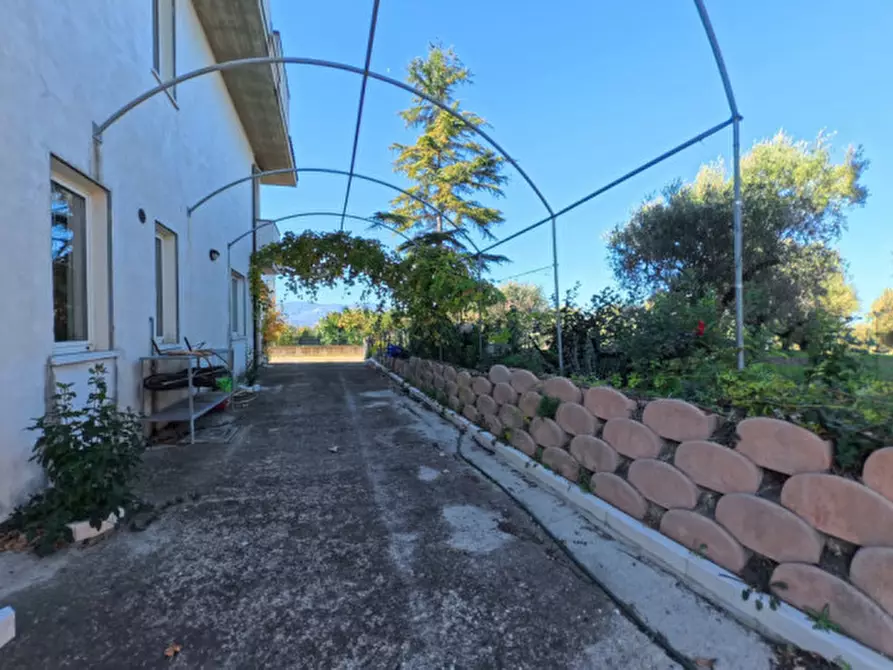 Immagine 7 di Villa in vendita  a Moscufo