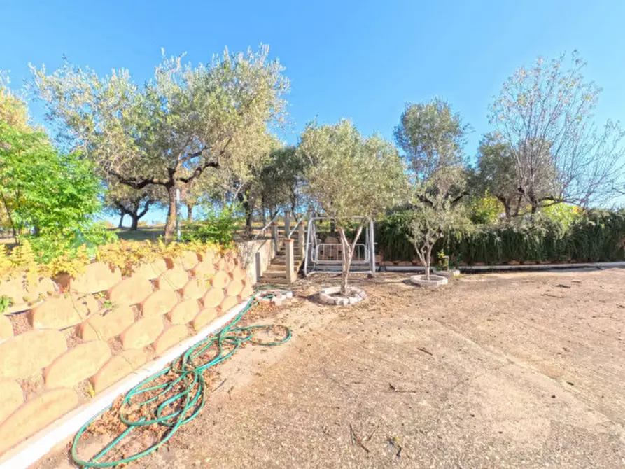 Immagine 8 di Villa in vendita  a Moscufo