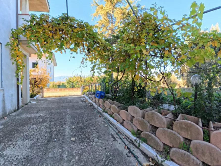 Immagine 9 di Villa in vendita  a Moscufo