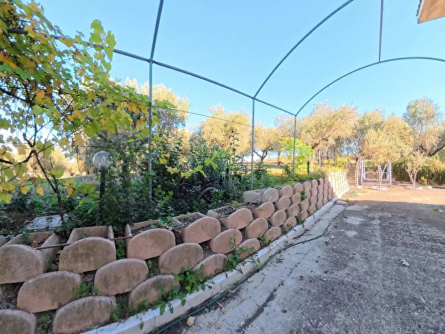 Immagine 10 di Villa in vendita  a Moscufo