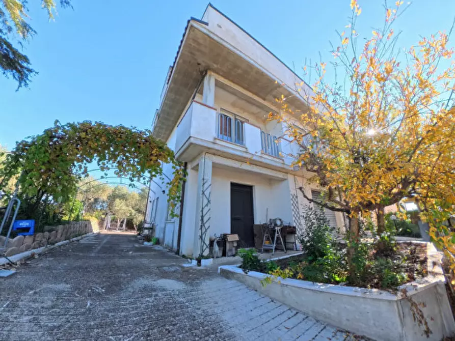 Immagine 11 di Villa in vendita  a Moscufo