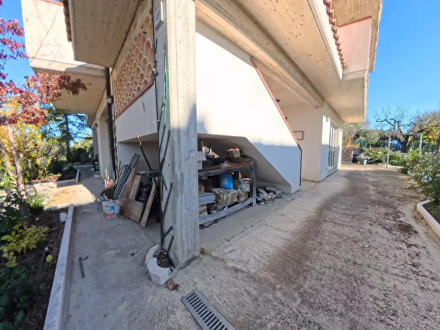 Immagine 12 di Villa in vendita  a Moscufo