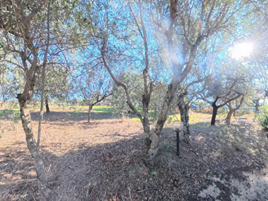 Immagine 29 di Villa in vendita  a Moscufo