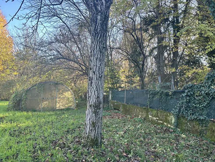 Immagine 7 di Terreno in vendita  in Vicolo Gerolamo Savoldo a Treviso