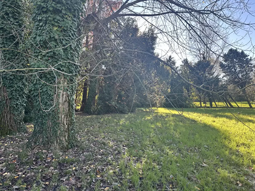 Immagine 10 di Terreno in vendita  in Vicolo Gerolamo Savoldo a Treviso