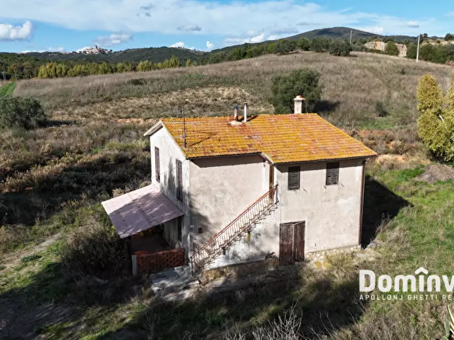 Immagine 4 di Rustico / casale in vendita  in Strada Cava del Gesso a Capalbio