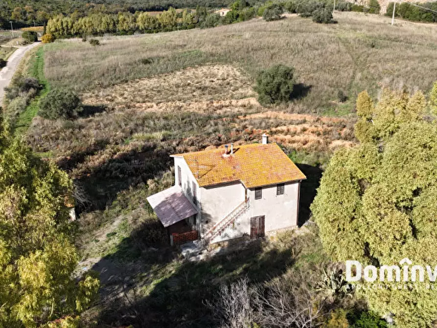 Immagine 5 di Rustico / casale in vendita  in Strada Cava del Gesso a Capalbio