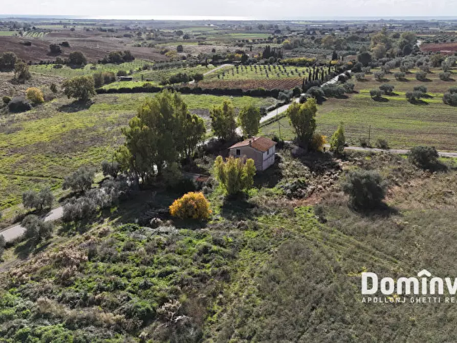 Immagine 8 di Rustico / casale in vendita  in Strada Cava del Gesso a Capalbio