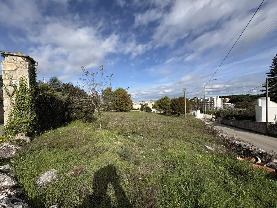 Immagine 4 di Terreno in vendita  in via saliscendi a Martina Franca