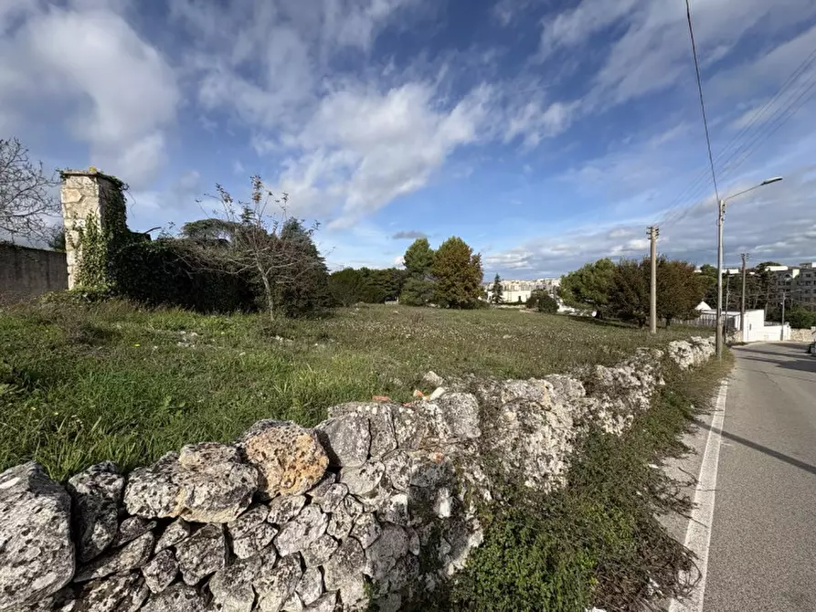 Immagine 5 di Terreno in vendita  in via saliscendi a Martina Franca