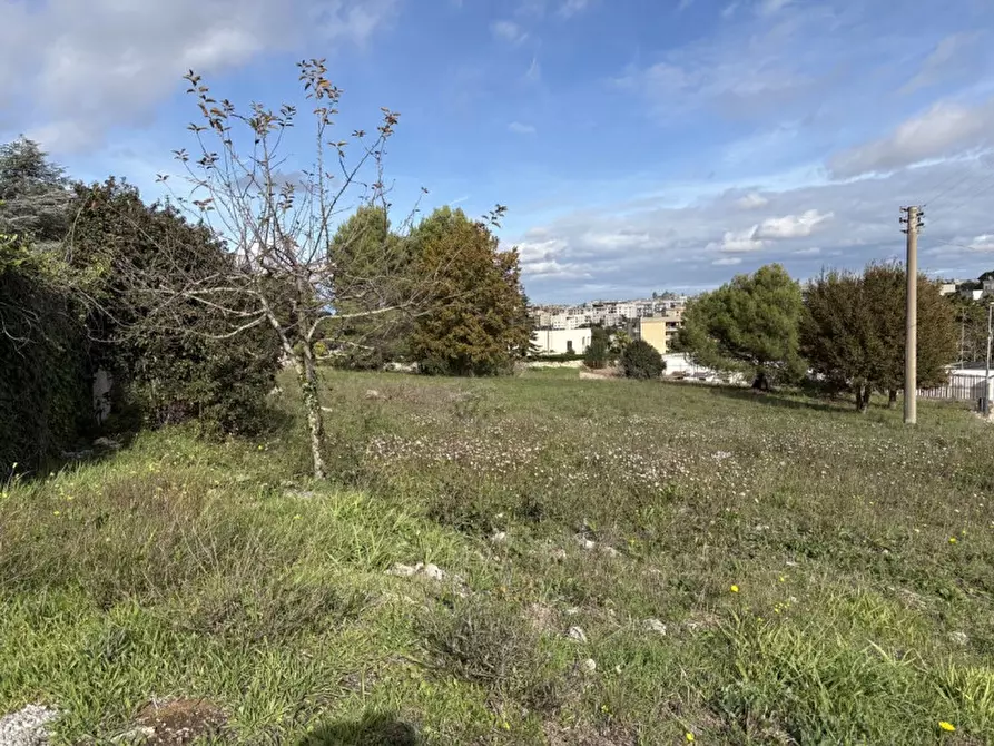 Immagine 6 di Terreno in vendita  in via saliscendi a Martina Franca
