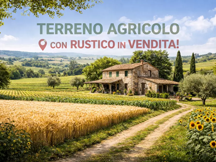 Immagine 1 di Terreno in vendita  a Villafranca Padovana