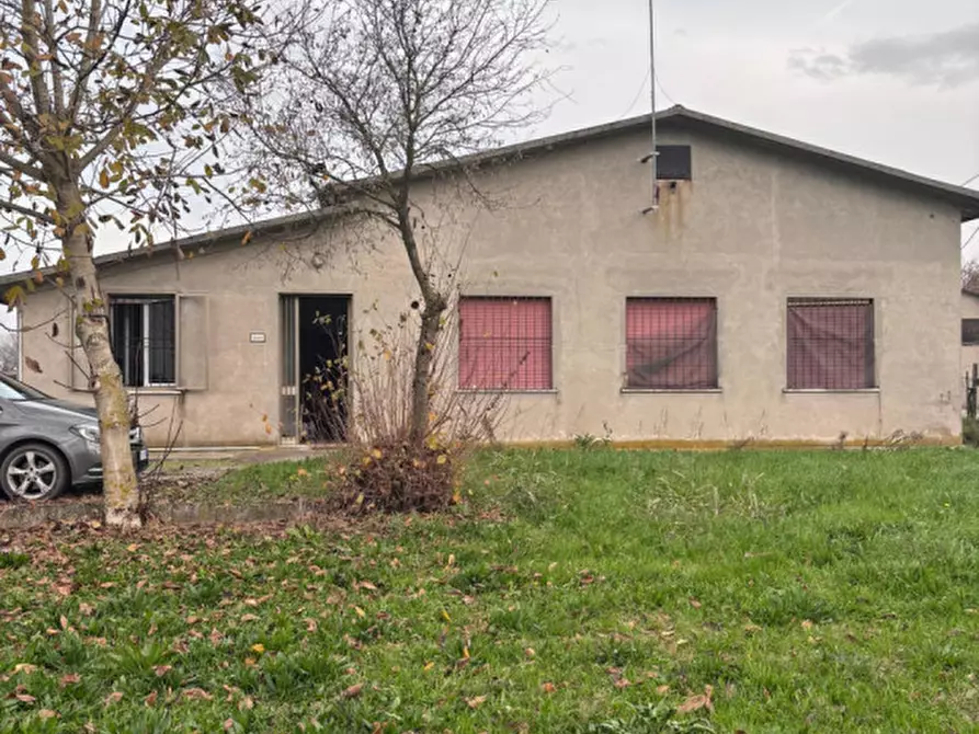 Immagine 1 di Casa indipendente in affitto  a Ceneselli