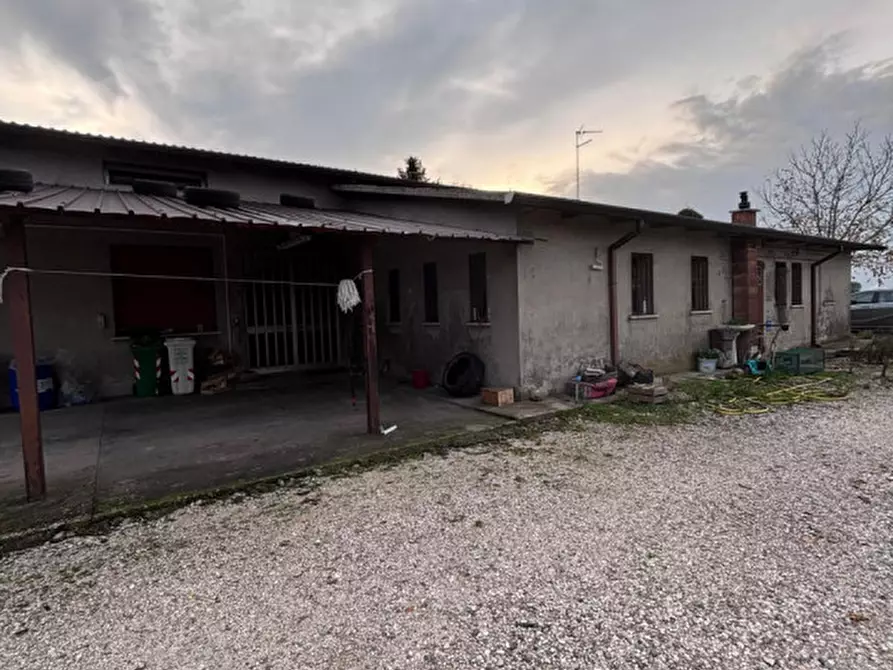 Immagine 2 di Casa indipendente in affitto  a Ceneselli