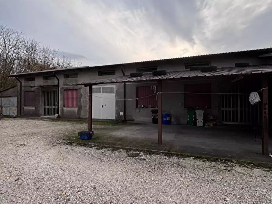 Immagine 3 di Casa indipendente in affitto  a Ceneselli