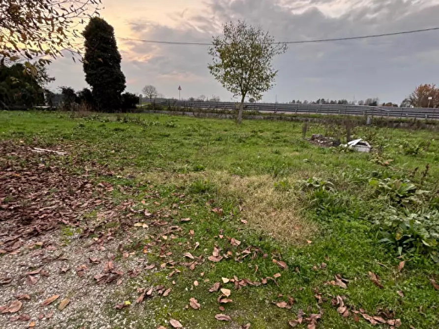 Immagine 4 di Casa indipendente in affitto  a Ceneselli