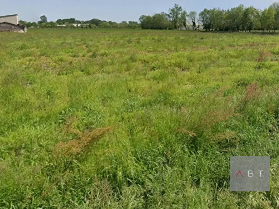 Immagine 1 di Terreno in vendita  a Cittadella