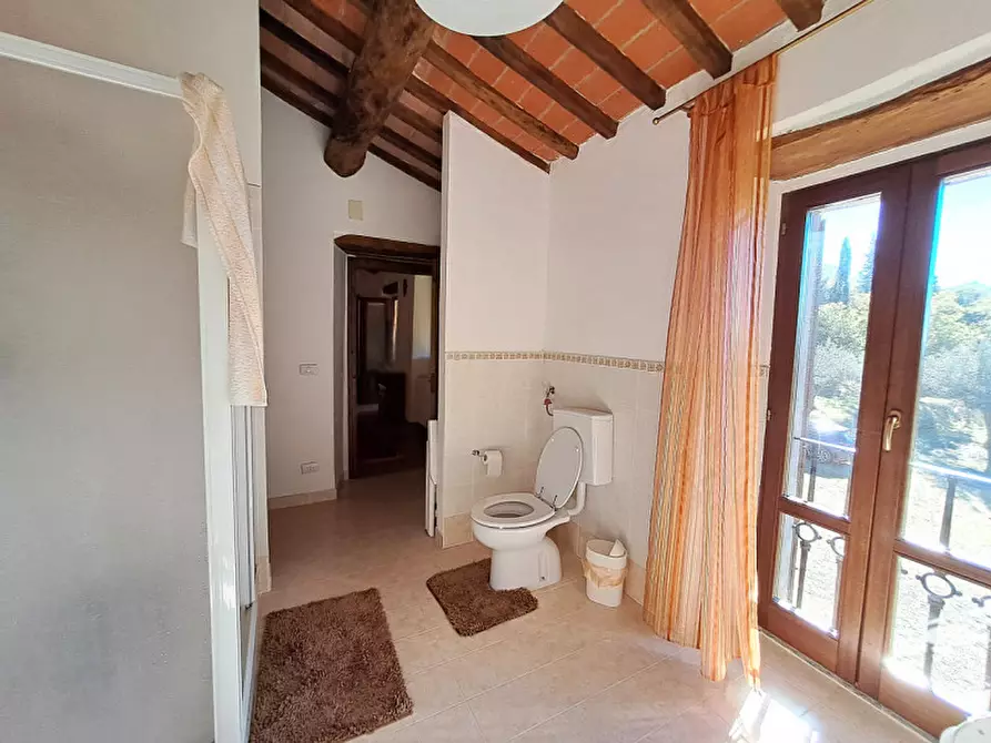 Immagine 14 di Rustico / casale in vendita  a Passignano Sul Trasimeno