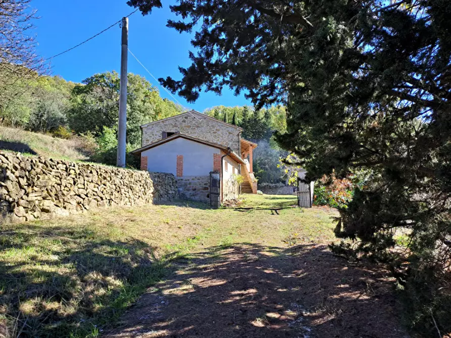 Immagine 27 di Rustico / casale in vendita  a Passignano Sul Trasimeno