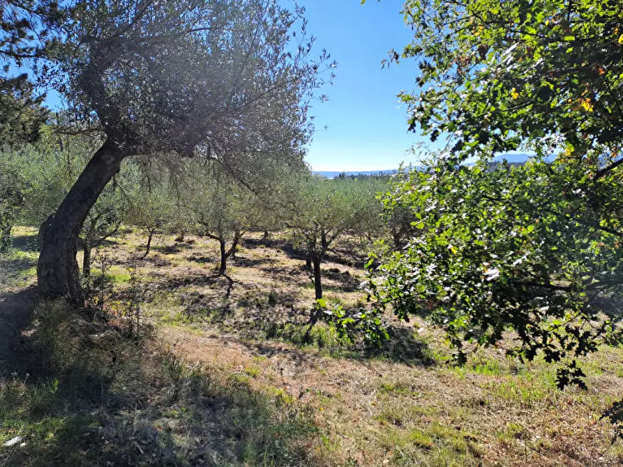 Immagine 28 di Rustico / casale in vendita  a Passignano Sul Trasimeno