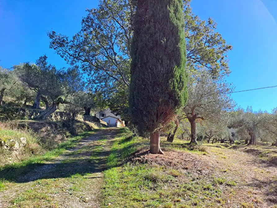Immagine 29 di Rustico / casale in vendita  a Passignano Sul Trasimeno