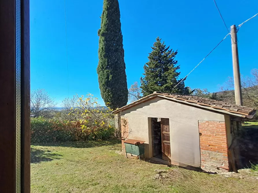 Immagine 32 di Rustico / casale in vendita  a Passignano Sul Trasimeno