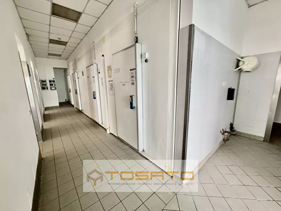 Immagine 6 di Capannone industriale in affitto  a Zevio