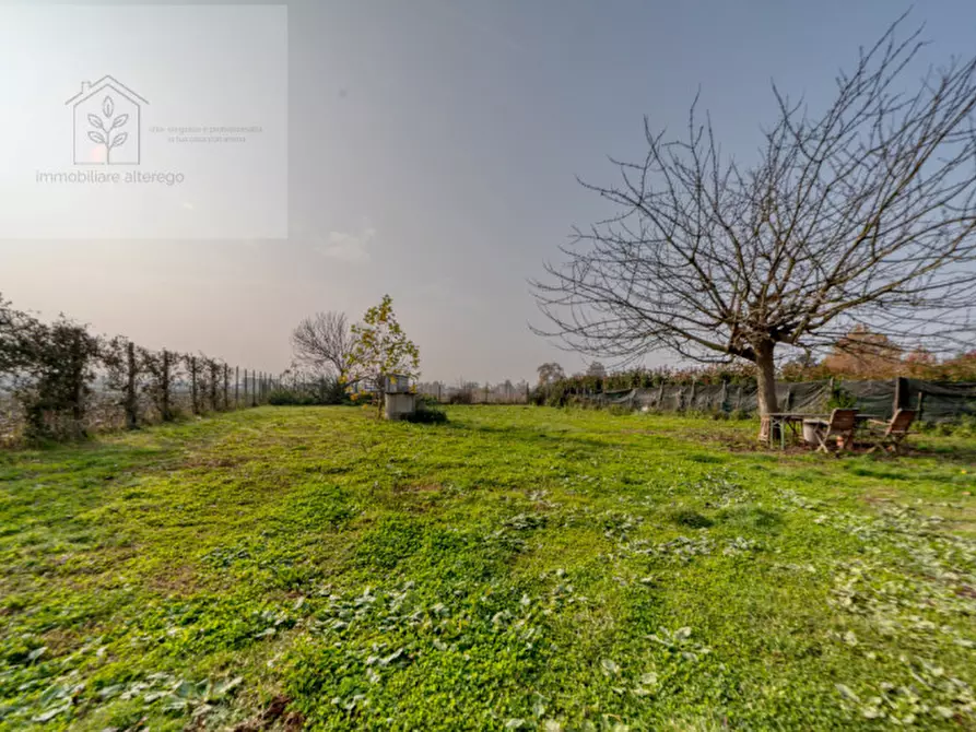 Immagine 21 di Casa indipendente in vendita  in via Soranzo a Piove Di Sacco