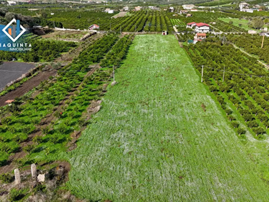 Immagine 4 di Terreno in vendita  in Contrada Margia a Palagonia