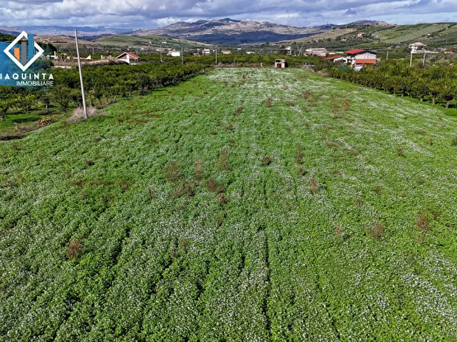 Immagine 4 di Terreno in vendita  in Contrada Margia a Palagonia