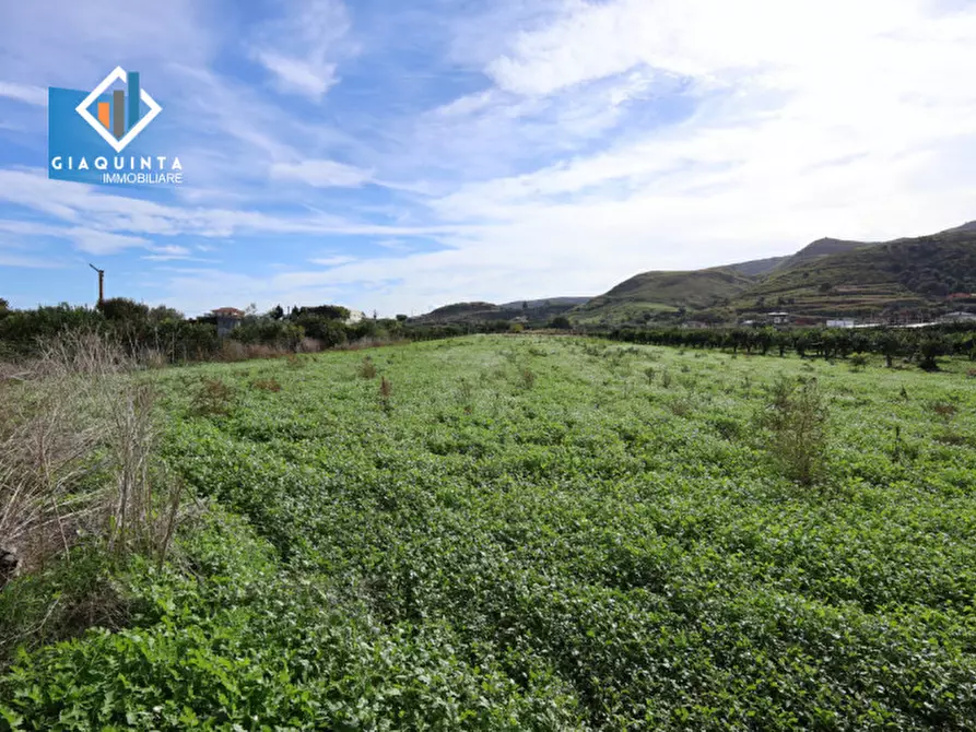 Immagine 6 di Terreno in vendita  in Contrada Margia a Palagonia