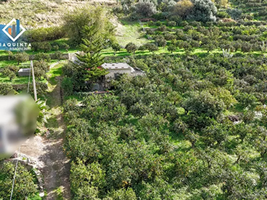 Immagine 1 di Terreno in vendita  in C.da Tre Fontane a Palagonia