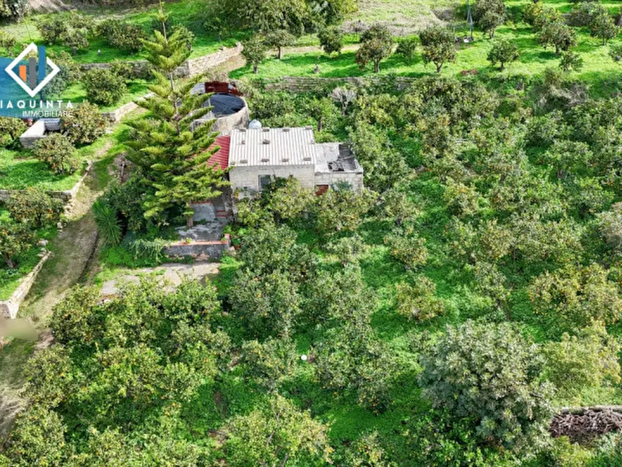 Immagine 2 di Terreno in vendita  in C.da Tre Fontane a Palagonia