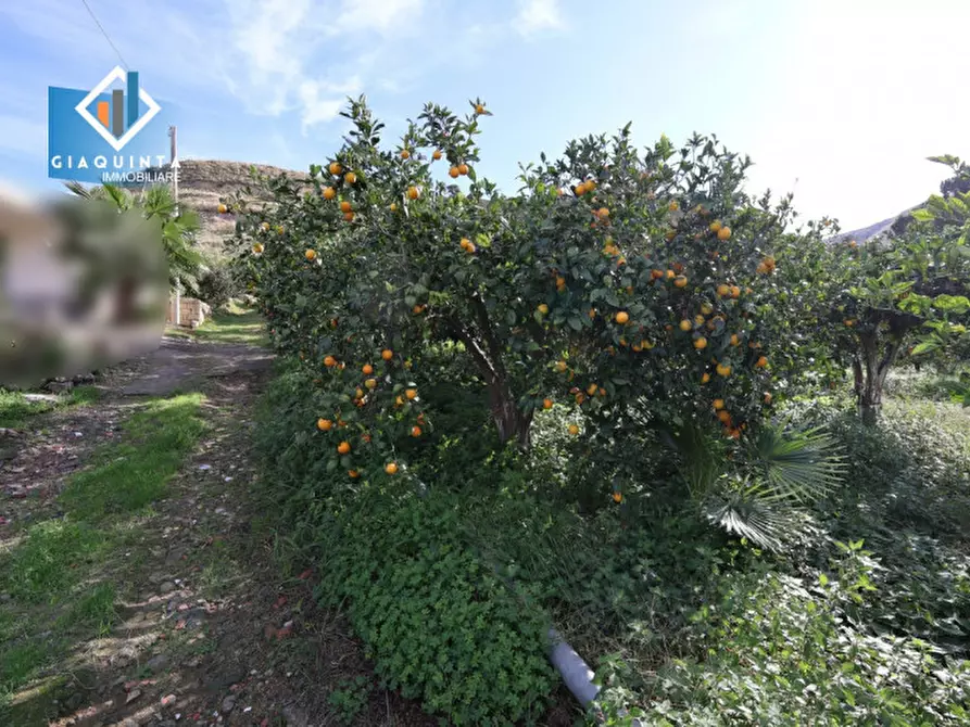 Immagine 6 di Terreno in vendita  in C.da Tre Fontane a Palagonia