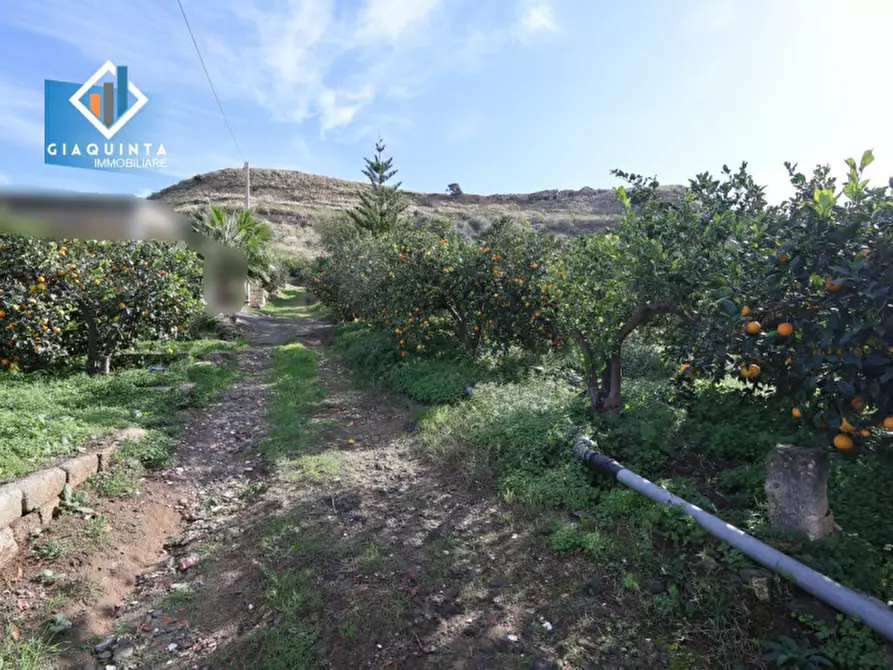 Immagine 7 di Terreno in vendita  in C.da Tre Fontane a Palagonia