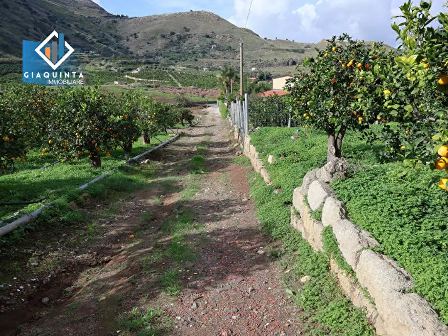 Immagine 8 di Terreno in vendita  in C.da Tre Fontane a Palagonia