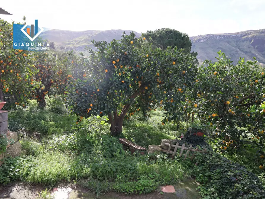 Immagine 9 di Terreno in vendita  in C.da Tre Fontane a Palagonia