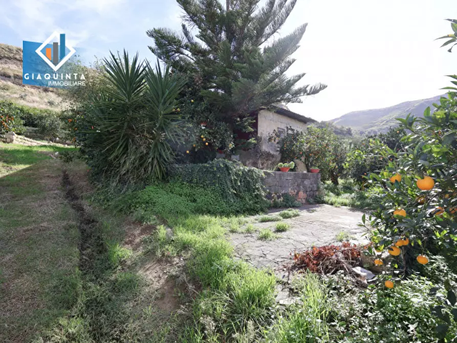 Immagine 14 di Terreno in vendita  in C.da Tre Fontane a Palagonia