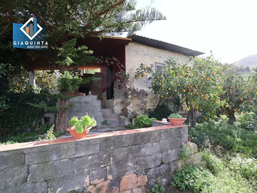 Immagine 15 di Terreno in vendita  in C.da Tre Fontane a Palagonia